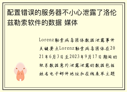 配置错误的服务器不小心泄露了洛伦兹勒索软件的数据 媒体